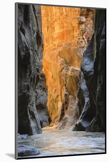 Virgin River Narrows, Zion National Park, Utah, United States of America, North America-Gary-Mounted Photographic Print