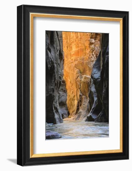 Virgin River Narrows, Zion National Park, Utah, United States of America, North America-Gary-Framed Photographic Print