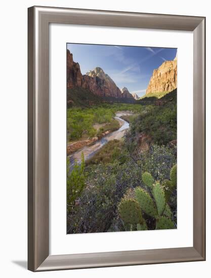 Virgin River Valley, Zion National Park, Utah, Usa-Rainer Mirau-Framed Photographic Print