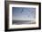 Virginia Beach, Virginia. Flock of Seagulls Fly over a Beach-Jolly Sienda-Framed Photographic Print