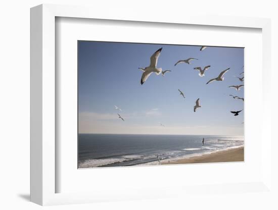 Virginia Beach, Virginia. Flock of Seagulls Fly over a Beach-Jolly Sienda-Framed Photographic Print