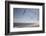 Virginia Beach, Virginia. Flock of Seagulls Fly over a Beach-Jolly Sienda-Framed Photographic Print