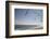 Virginia Beach, Virginia. Flock of Seagulls Fly over a Beach-Jolly Sienda-Framed Photographic Print