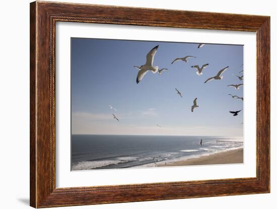 Virginia Beach, Virginia. Flock of Seagulls Fly over a Beach-Jolly Sienda-Framed Photographic Print