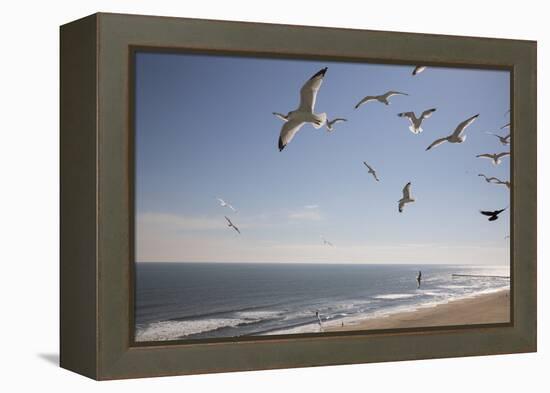 Virginia Beach, Virginia. Flock of Seagulls Fly over a Beach-Jolly Sienda-Framed Premier Image Canvas