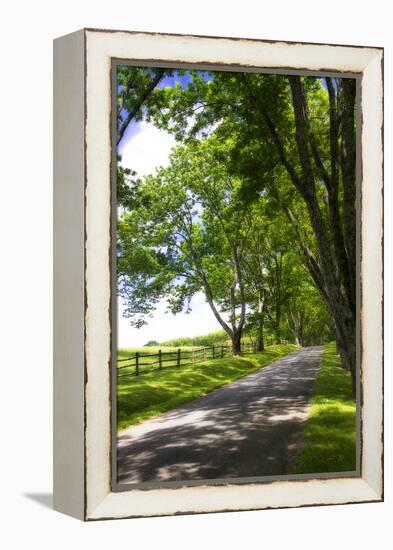 Virginia Byways I-Alan Hausenflock-Framed Premier Image Canvas