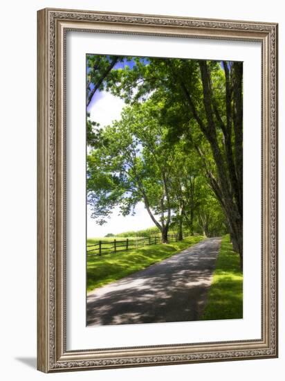 Virginia Byways I-Alan Hausenflock-Framed Photographic Print