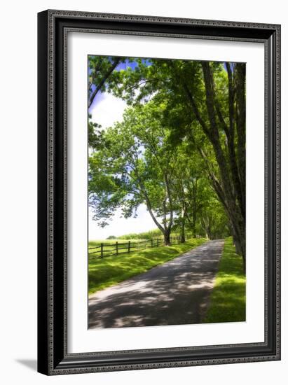 Virginia Byways I-Alan Hausenflock-Framed Photographic Print