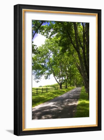 Virginia Byways I-Alan Hausenflock-Framed Photographic Print