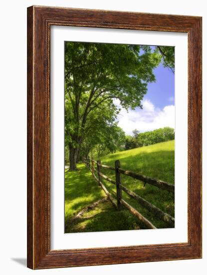 Virginia Byways II-Alan Hausenflock-Framed Photographic Print