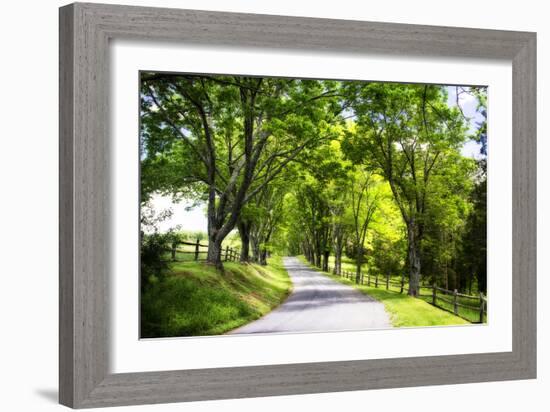 Virginia Byways IV-Alan Hausenflock-Framed Photographic Print