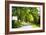 Virginia Byways IV-Alan Hausenflock-Framed Photographic Print