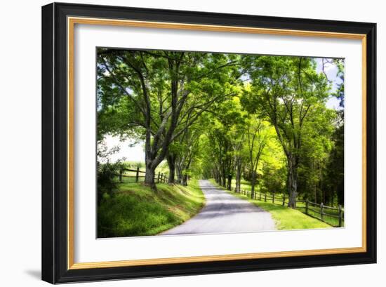 Virginia Byways IV-Alan Hausenflock-Framed Photographic Print