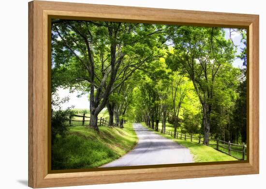 Virginia Byways IV-Alan Hausenflock-Framed Premier Image Canvas