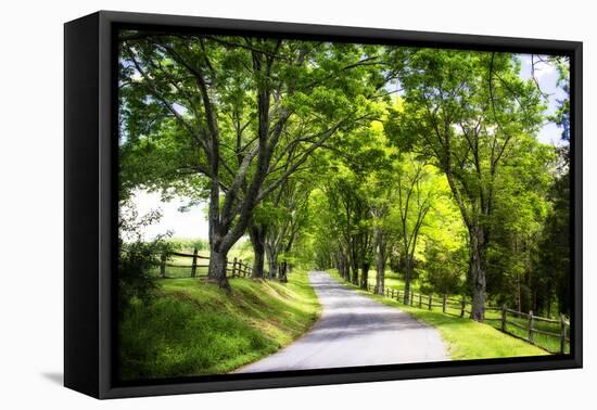 Virginia Byways IV-Alan Hausenflock-Framed Premier Image Canvas