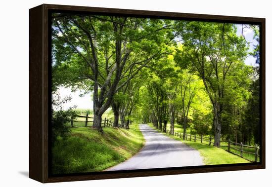 Virginia Byways IV-Alan Hausenflock-Framed Premier Image Canvas