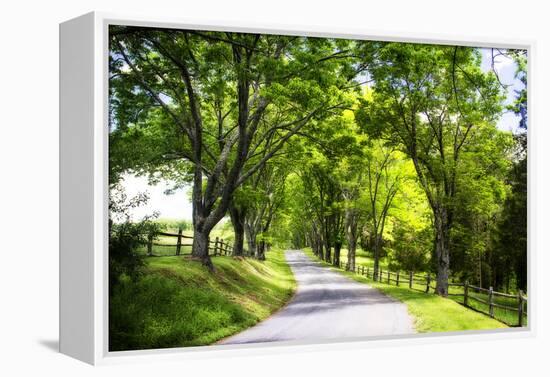 Virginia Byways IV-Alan Hausenflock-Framed Premier Image Canvas