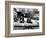 Virginia City, Nevada, 1953-Brett Weston-Framed Photographic Print