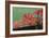 Virginia Creeper-Archie Young-Framed Photographic Print