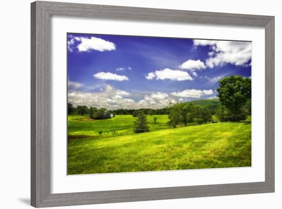 Virginia Foothills II-Alan Hausenflock-Framed Photographic Print