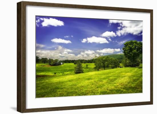 Virginia Foothills II-Alan Hausenflock-Framed Photographic Print