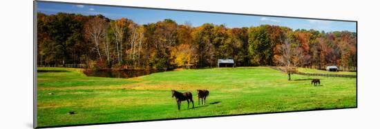 Virginia Horse Farm I-Alan Hausenflock-Mounted Photo