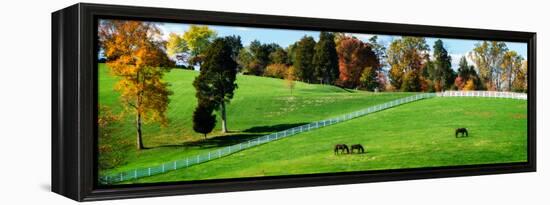 Virginia Horse Farm II-Alan Hausenflock-Framed Stretched Canvas