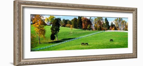 Virginia Horse Farm II-Alan Hausenflock-Framed Photographic Print