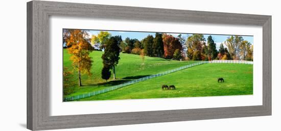 Virginia Horse Farm II-Alan Hausenflock-Framed Photographic Print