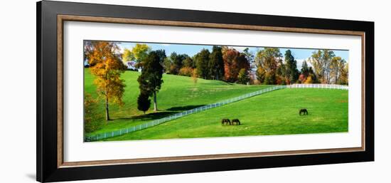 Virginia Horse Farm II-Alan Hausenflock-Framed Photographic Print