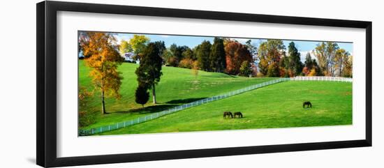 Virginia Horse Farm II-Alan Hausenflock-Framed Photographic Print