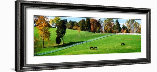 Virginia Horse Farm II-Alan Hausenflock-Framed Photographic Print