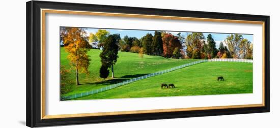 Virginia Horse Farm II-Alan Hausenflock-Framed Photographic Print