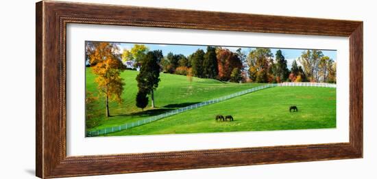 Virginia Horse Farm II-Alan Hausenflock-Framed Photo