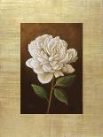 Fleurs de Magnolia-Virginia Huntington-Framed Stretched Canvas