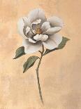 Fleur de Magnolia-Virginia Huntington-Framed Stretched Canvas