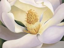 Fleurs de Magnolia-Virginia Huntington-Art Print