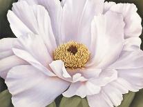 Magnolia-Virginia Huntington-Framed Stretched Canvas