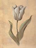 Fleur de Magnolia-Virginia Huntington-Framed Stretched Canvas