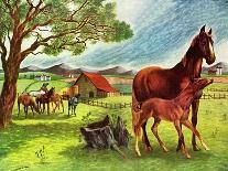 Horses - Jack and Jill, June 1946-Virginia Mann-Mounted Giclee Print