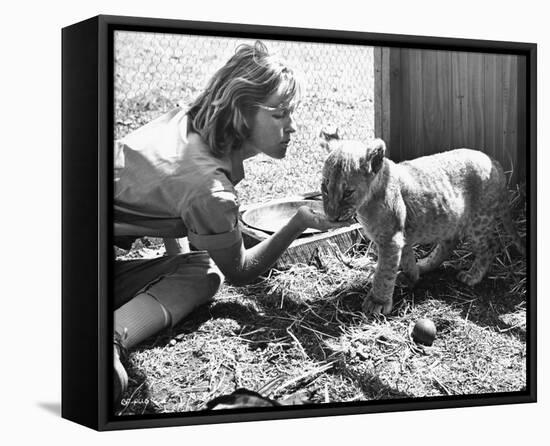 Virginia McKenna - Born Free-null-Framed Stretched Canvas