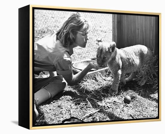 Virginia McKenna - Born Free-null-Framed Stretched Canvas