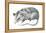 Virginia Opossum (Didelphis Virginiana), Marsupial, Mammals-Encyclopaedia Britannica-Framed Stretched Canvas