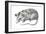 Virginia Opossum (Didelphis Virginiana), Marsupial, Mammals-Encyclopaedia Britannica-Framed Art Print