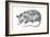 Virginia Opossum (Didelphis Virginiana), Marsupial, Mammals-Encyclopaedia Britannica-Framed Art Print