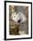 Virginia Opossum in Tree USA-Lynn M. Stone-Framed Photographic Print