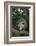 Virginia Opossum in Tree-DLILLC-Framed Photographic Print