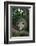 Virginia Opossum in Tree-DLILLC-Framed Photographic Print