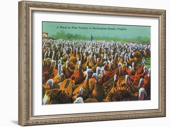 Virginia - Rockingham County Turkey Flock-Lantern Press-Framed Art Print