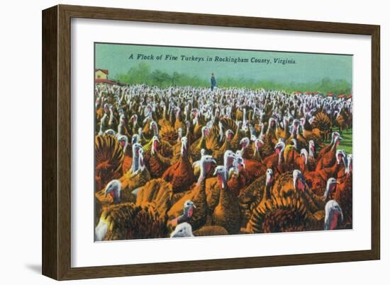 Virginia - Rockingham County Turkey Flock-Lantern Press-Framed Art Print